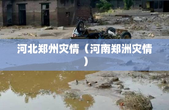 河北郑州灾情（河南郑洲灾情）