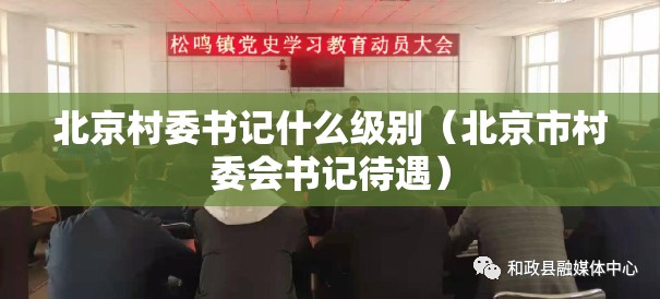 北京村委书记什么级别（北京市村委会书记待遇）