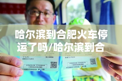 哈尔滨到合肥火车停运了吗/哈尔滨到合肥的火车票多少钱一张票
