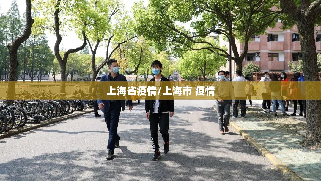 上海省疫情/上海市 疫情