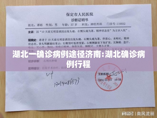 湖北一确诊病例途径济南:湖北确诊病例行程
