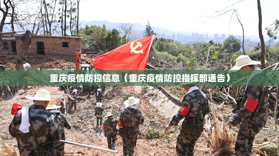 重庆疫情防控信息（重庆疫情防控指挥部通告）