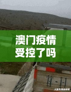 澳门疫情受控了吗？从数据、政策与社会反应看当前形势
