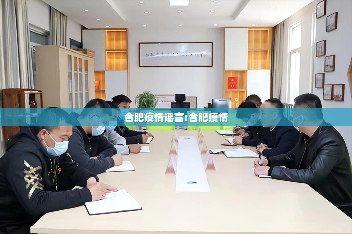 合肥疫情谣言:合肥瘦情