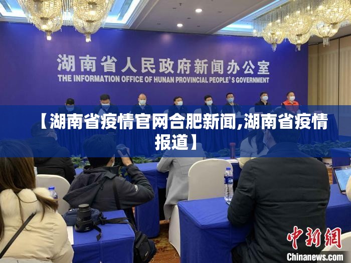 【湖南省疫情官网合肥新闻,湖南省疫情报道】