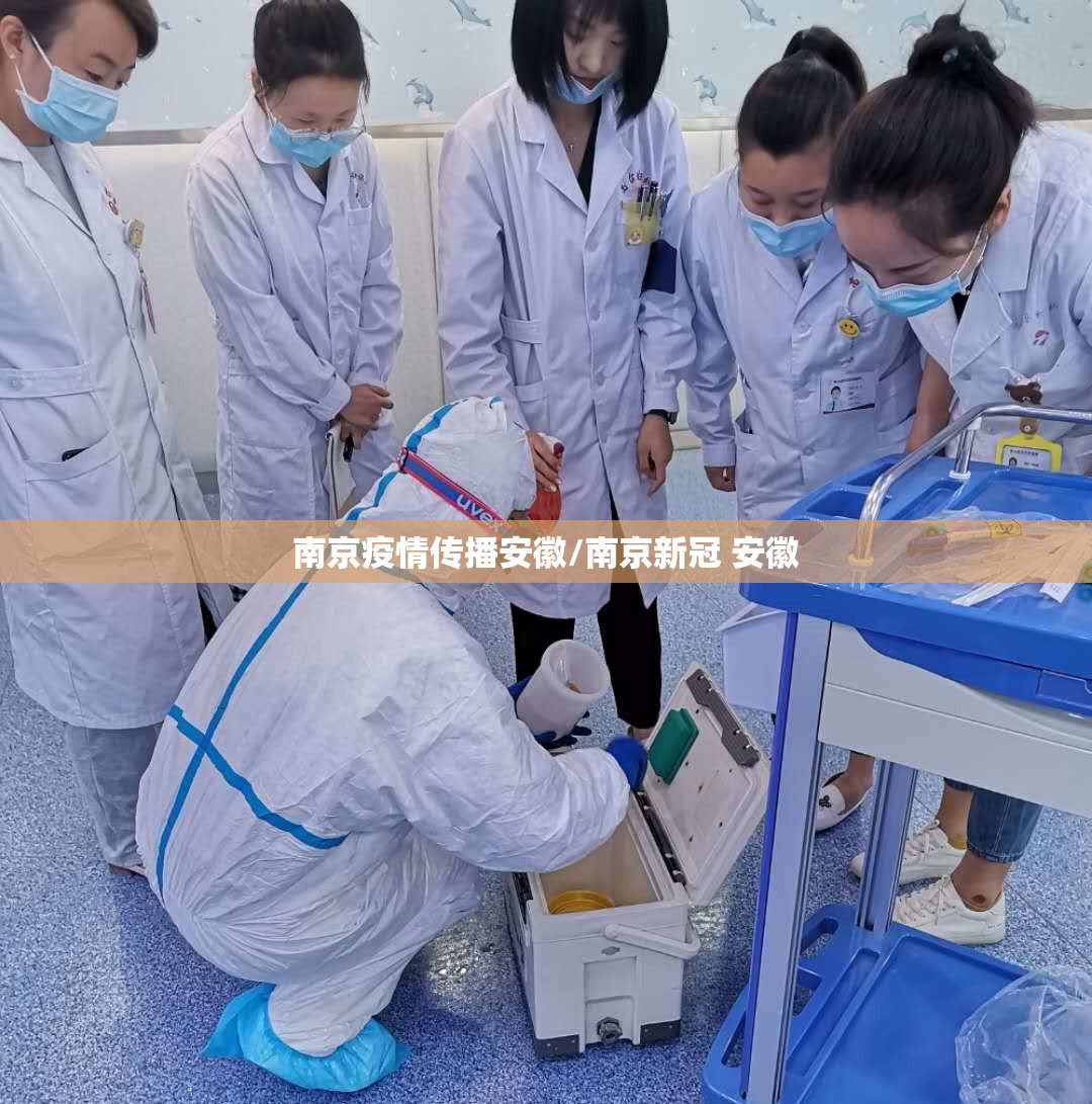 南京疫情传播安徽/南京新冠 安徽