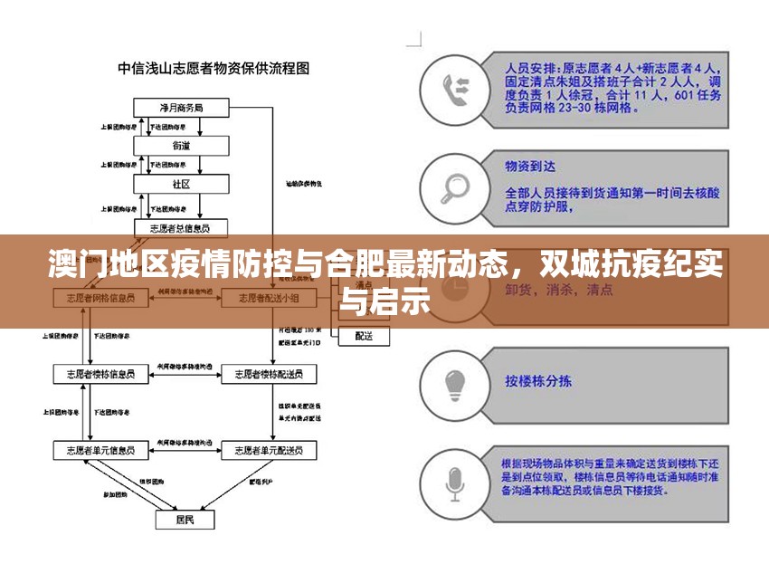 澳门地区疫情防控与合肥最新动态，双城抗疫纪实与启示
