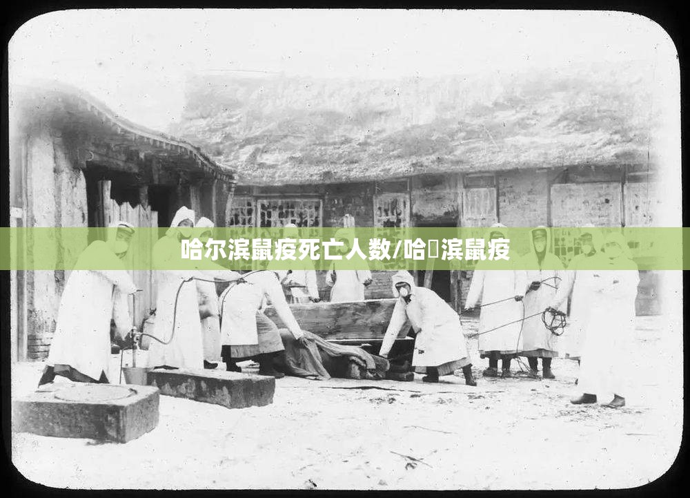 哈尔滨鼠疫死亡人数/哈尓滨鼠疫