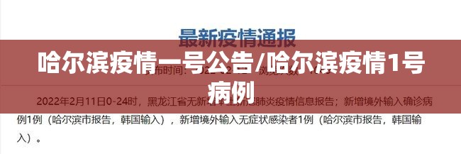 哈尔滨疫情一号公告/哈尔滨疫情1号病例