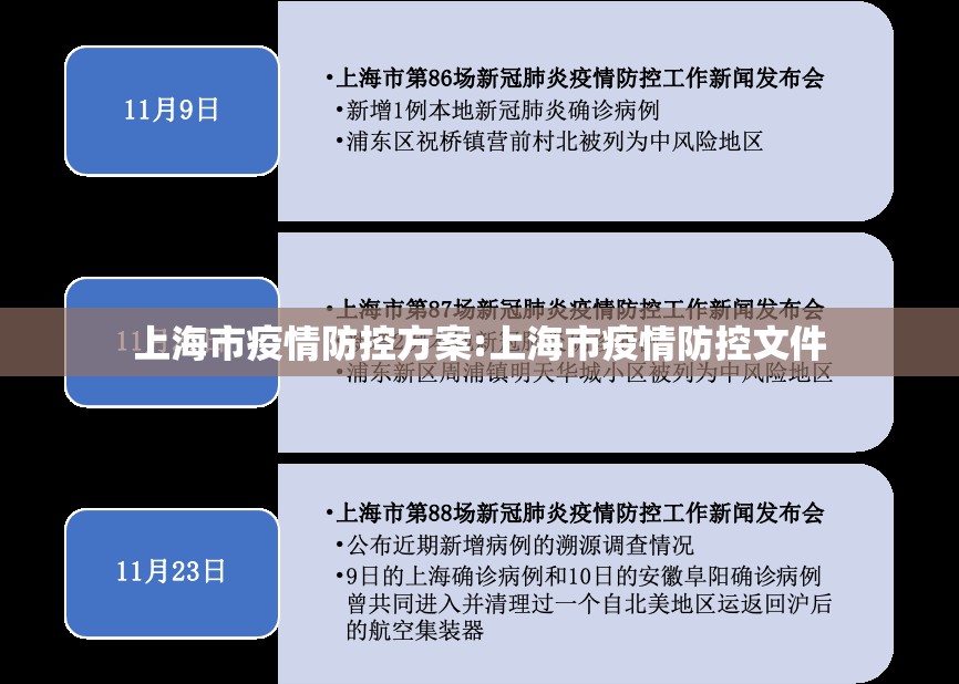 上海市疫情防控方案:上海市疫情防控文件
