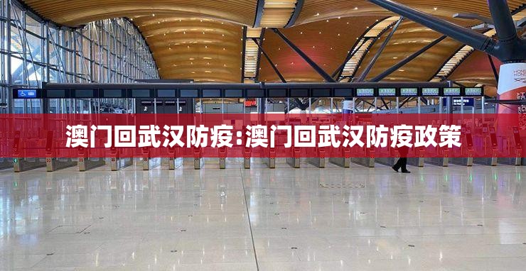澳门回武汉防疫:澳门回武汉防疫政策