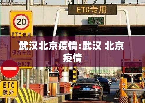 武汉北京疫情:武汉 北京 疫情