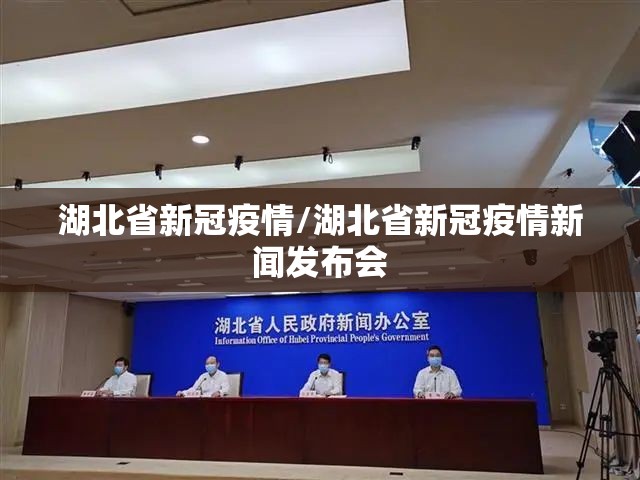 湖北省新冠疫情/湖北省新冠疫情新闻发布会
