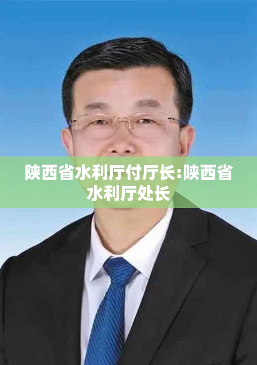陕西省水利厅付厅长:陕西省水利厅处长