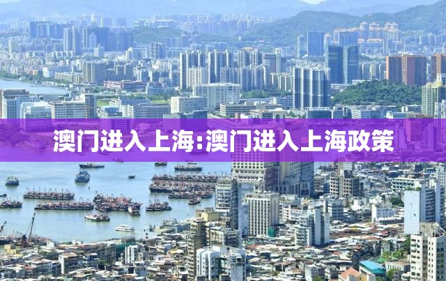 澳门进入上海:澳门进入上海政策
