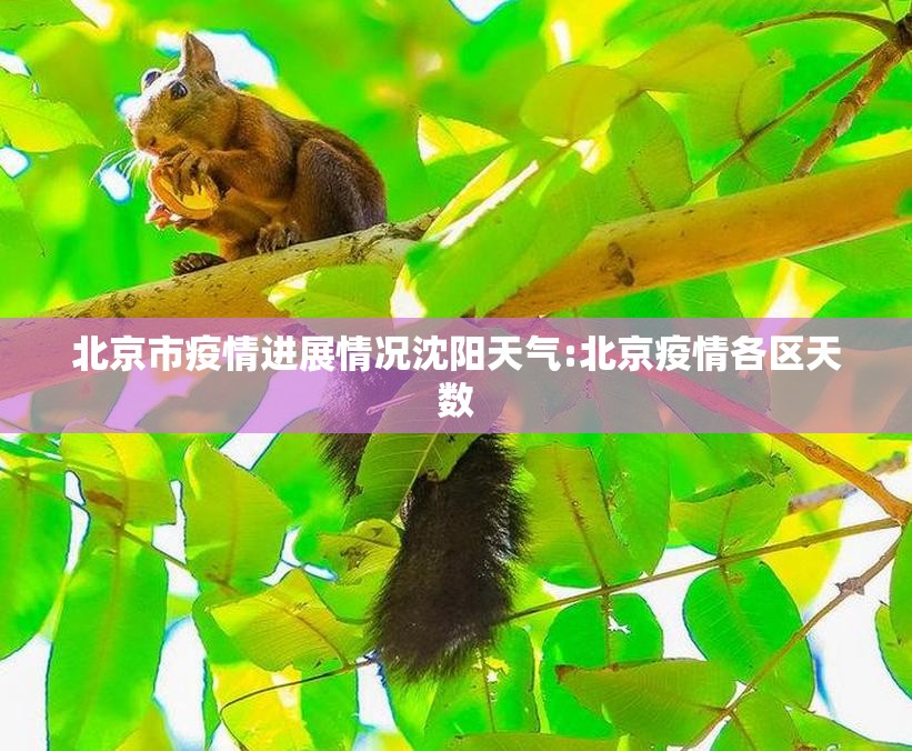 北京市疫情进展情况沈阳天气:北京疫情各区天数