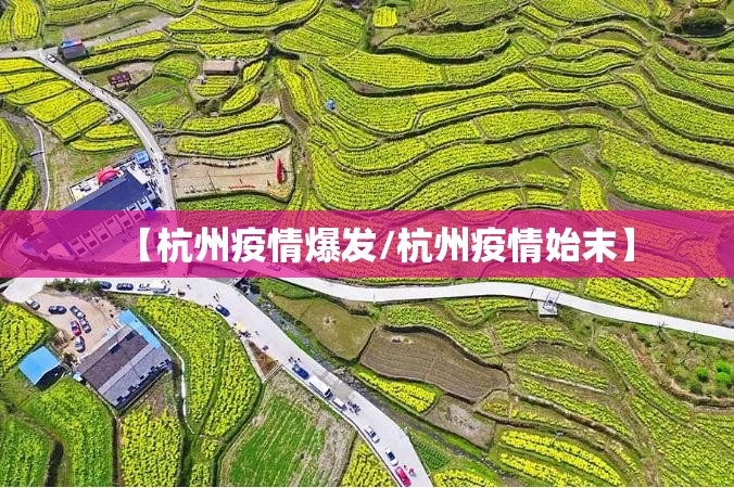 【杭州疫情爆发/杭州疫情始末】