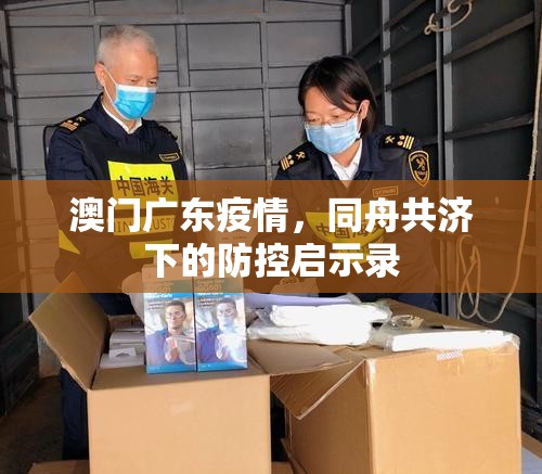 澳门广东疫情，同舟共济下的防控启示录