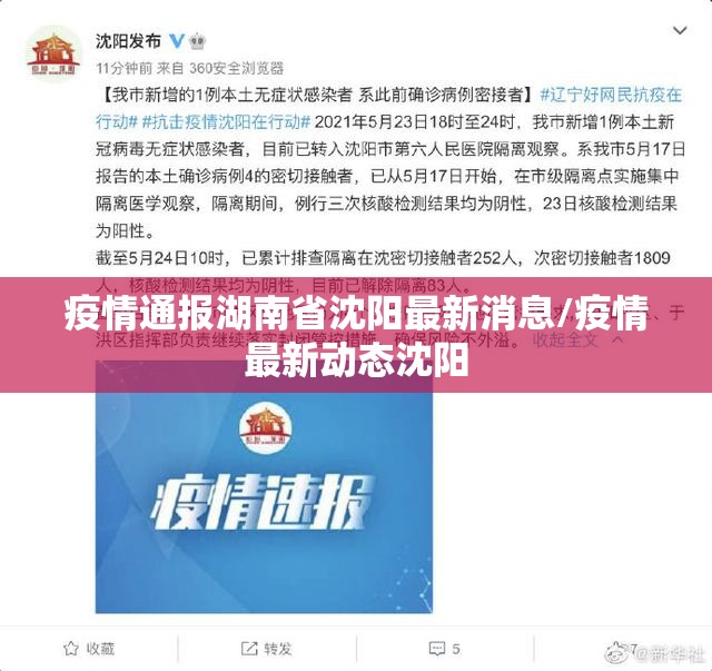 疫情通报湖南省沈阳最新消息/疫情最新动态沈阳