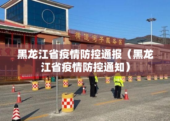 黑龙江省疫情防控通报（黑龙江省疫情防控通知）