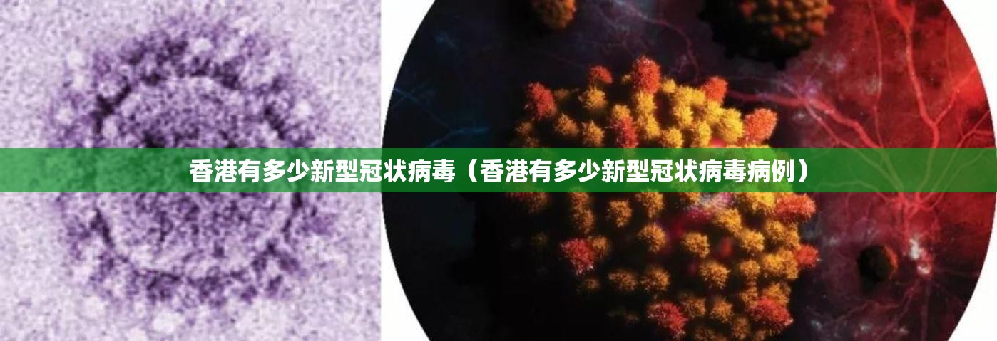 香港有多少新型冠状病毒（香港有多少新型冠状病毒病例）