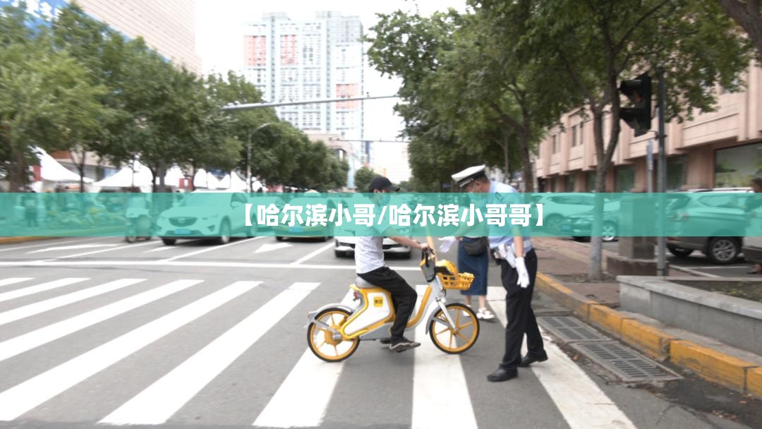 【哈尔滨小哥/哈尔滨小哥哥】