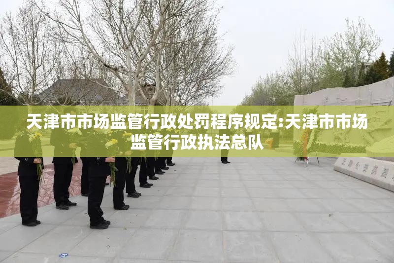 天津市市场监管行政处罚程序规定:天津市市场监管行政执法总队