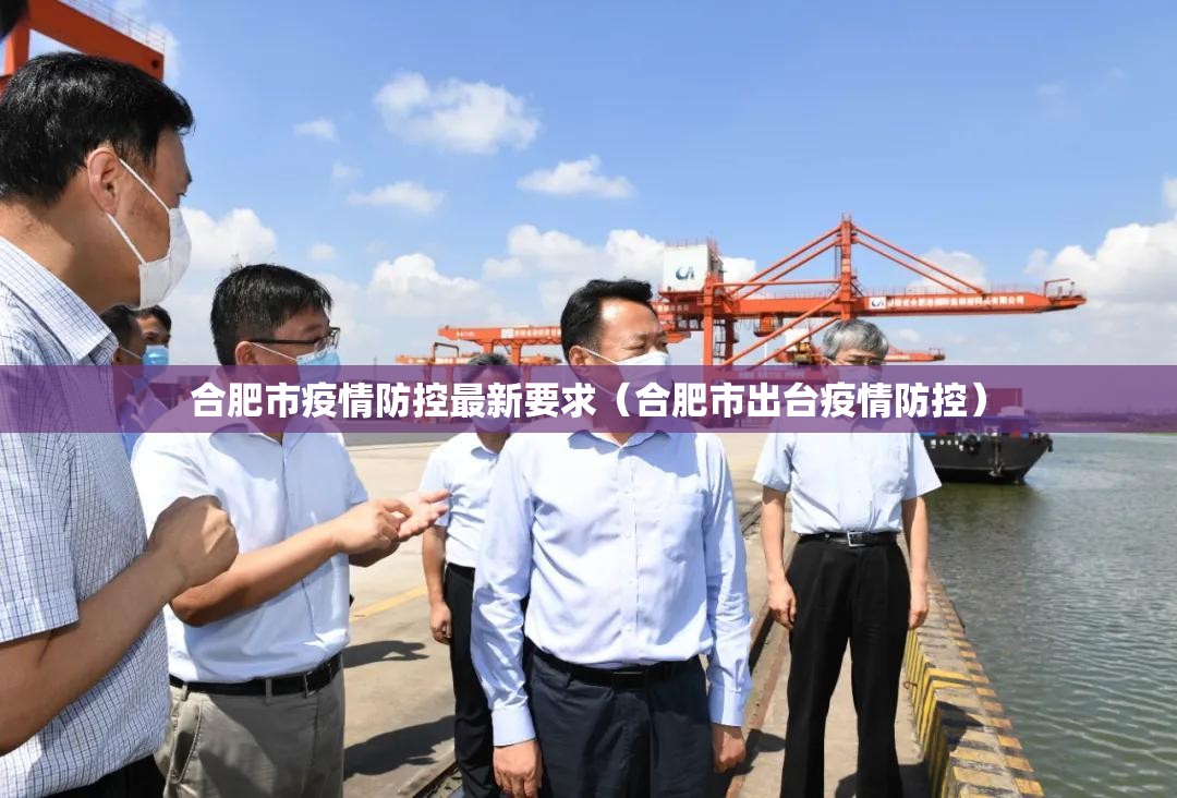 合肥市疫情防控最新要求（合肥市出台疫情防控）