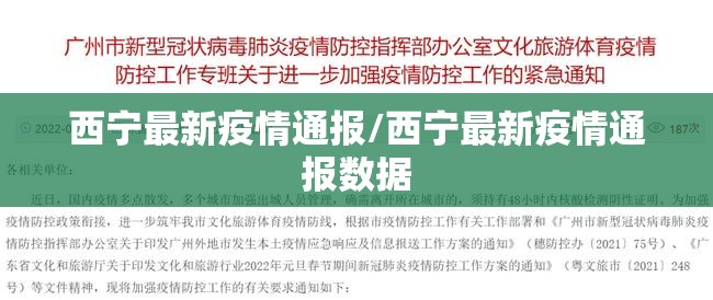西宁最新疫情通报/西宁最新疫情通报数据