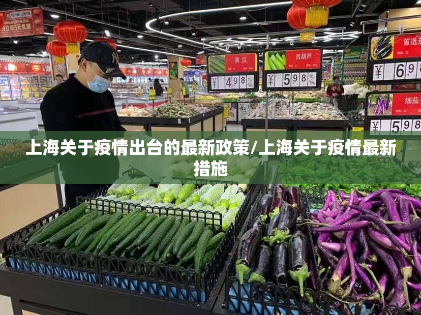 上海关于疫情出台的最新政策/上海关于疫情最新措施