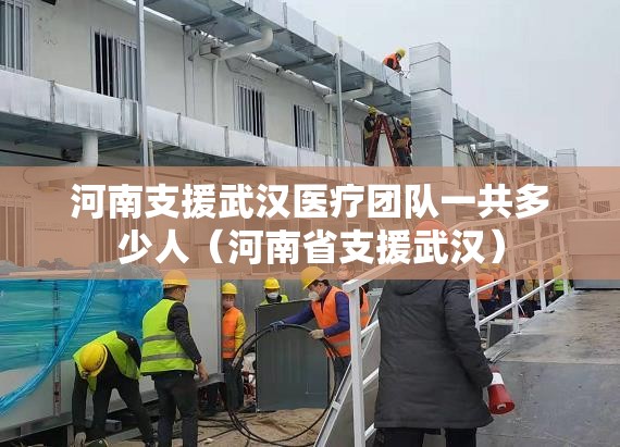 河南支援武汉医疗团队一共多少人（河南省支援武汉）