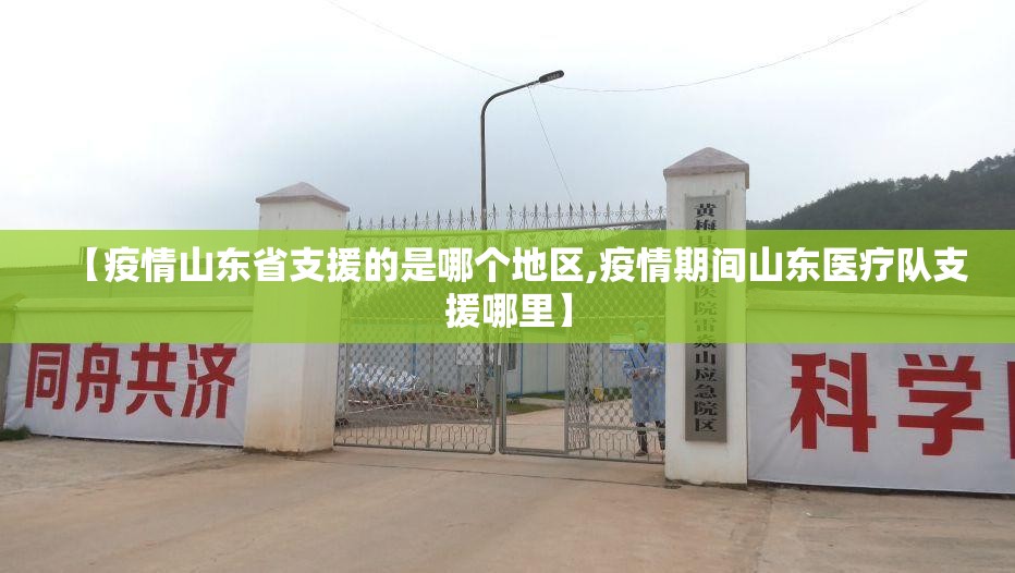 【疫情山东省支援的是哪个地区,疫情期间山东医疗队支援哪里】