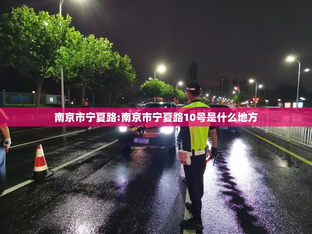 南京市宁夏路:南京市宁夏路10号是什么地方