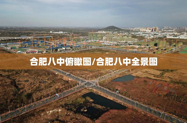 合肥八中俯瞰图/合肥八中全景图