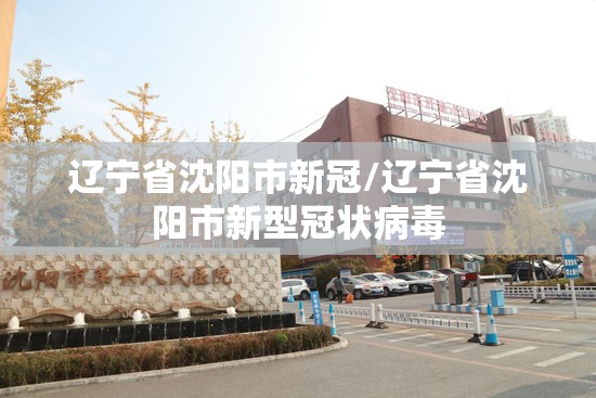 辽宁省沈阳市新冠/辽宁省沈阳市新型冠状病毒