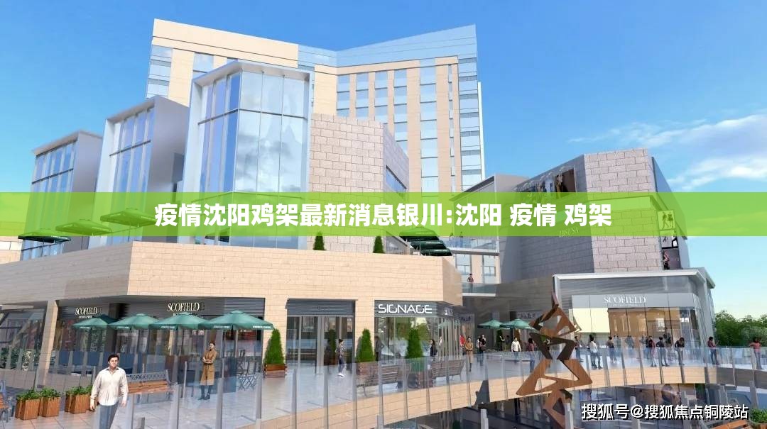 疫情沈阳鸡架最新消息银川:沈阳 疫情 鸡架