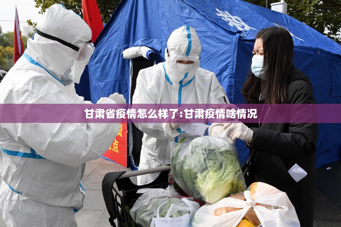 甘肃省疫情怎么样了:甘肃疫情啥情况