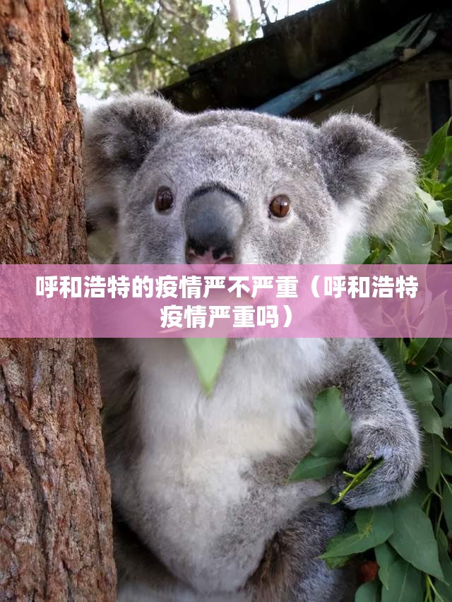 呼和浩特的疫情严不严重（呼和浩特疫情严重吗）