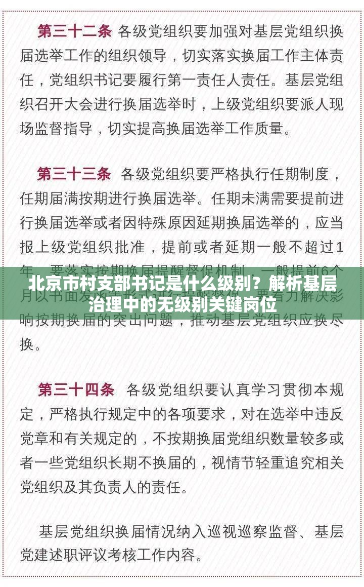 北京市村支部书记是什么级别？解析基层治理中的无级别关键岗位