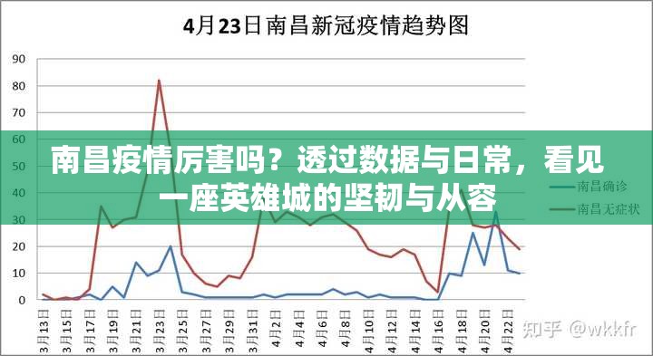 南昌疫情厉害吗？透过数据与日常，看见一座英雄城的坚韧与从容