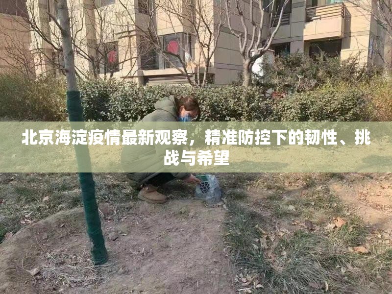 北京海淀疫情最新观察，精准防控下的韧性、挑战与希望