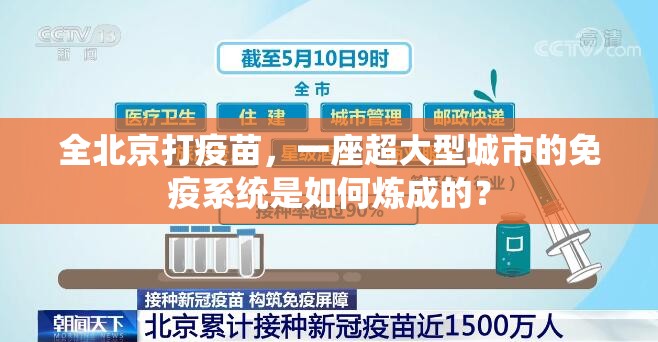 全北京打疫苗，一座超大型城市的免疫系统是如何炼成的？