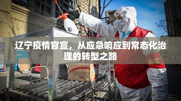辽宁疫情官宣，从应急响应到常态化治理的转型之路