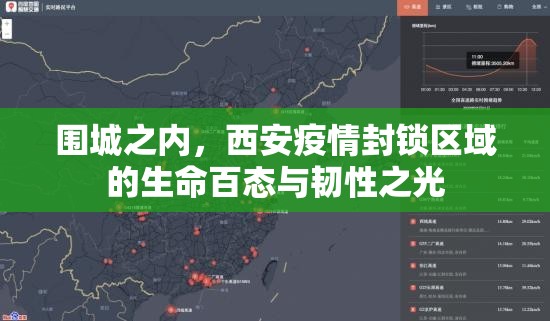 围城之内，西安疫情封锁区域的生命百态与韧性之光