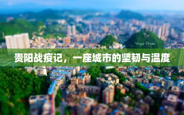 贵阳战疫记，一座城市的坚韧与温度