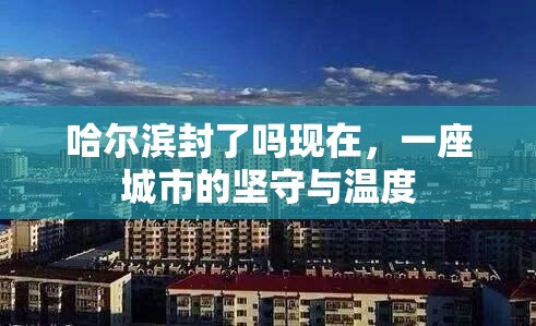 哈尔滨封了吗现在，一座城市的坚守与温度