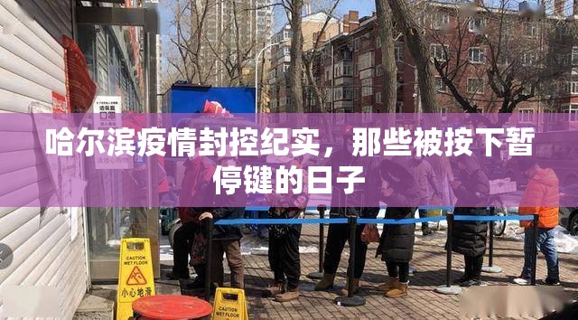 哈尔滨疫情封控纪实，那些被按下暂停键的日子