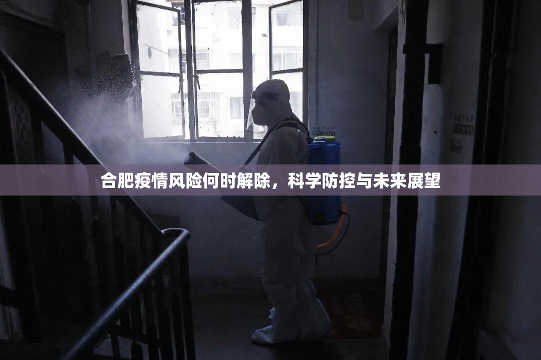 合肥疫情风险何时解除，科学防控与未来展望