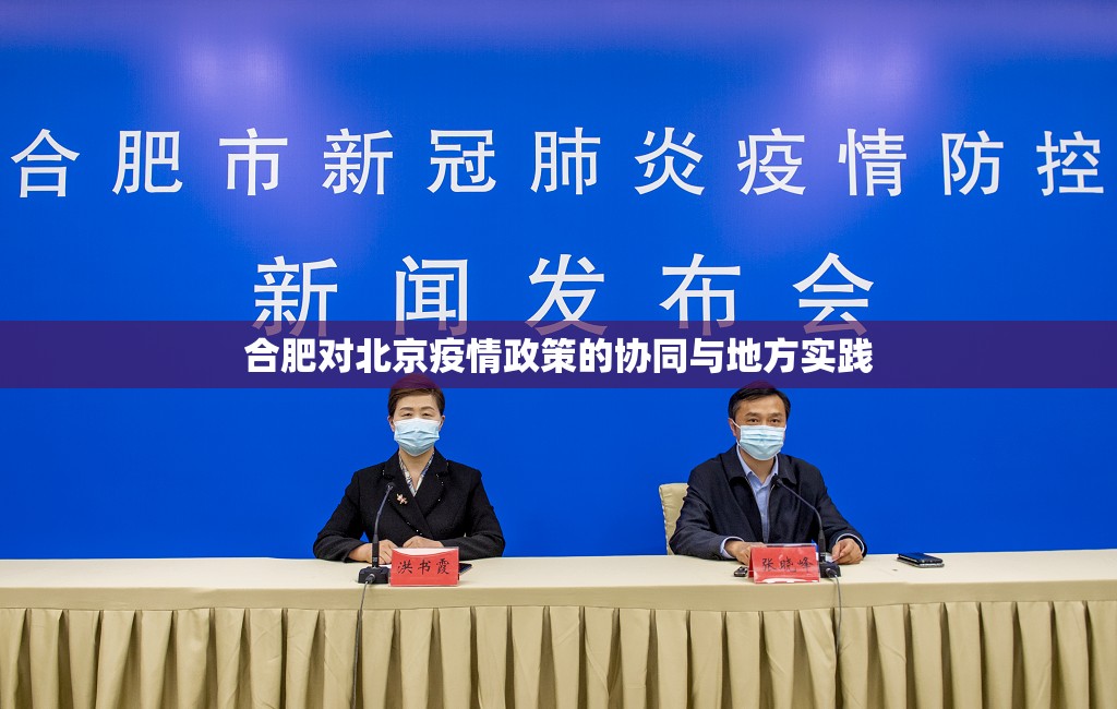 合肥对北京疫情政策的协同与地方实践