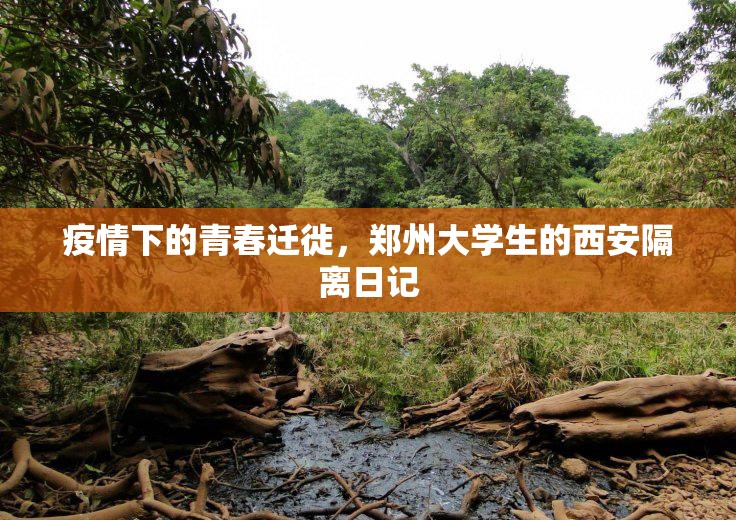 疫情下的青春迁徙,郑州大学生的西安隔离日记